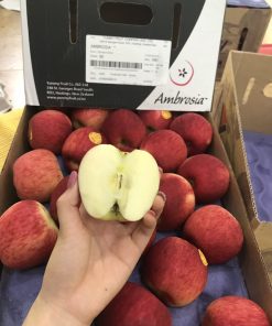 Táo đỏ Envy New Zealand