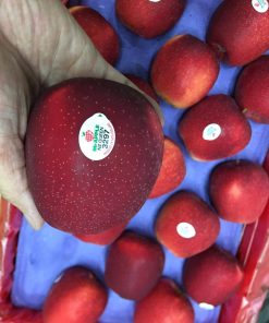 Táo đỏ Sonya New Zealand