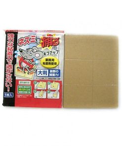 Miếng dán bẫy chuột