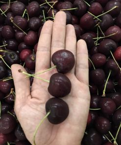 Cherry Canada mã s9