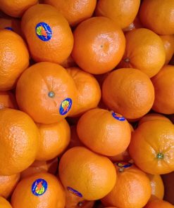 Quýt ÚC nhập khẩu mã S48