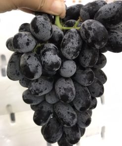 Nho đen kẹo nhập khẩu từ Mỹ