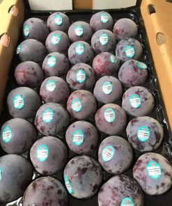 Mận đỏ nhập khẩu từ Mỹ