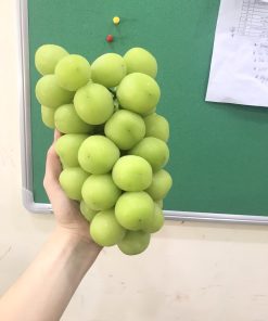Nho xanh Sweet globle nhập khẩu từ Mỹ